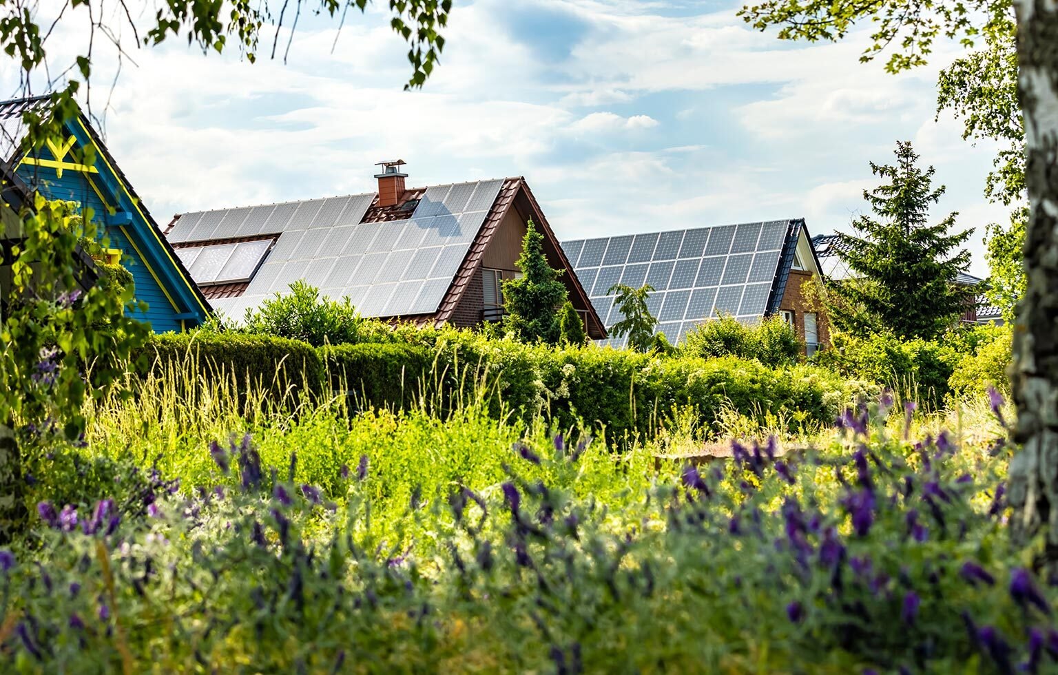 Mehrere Häuser mit grossflächigen Solaranlagen auf den Dächern in grüner Umgebung.