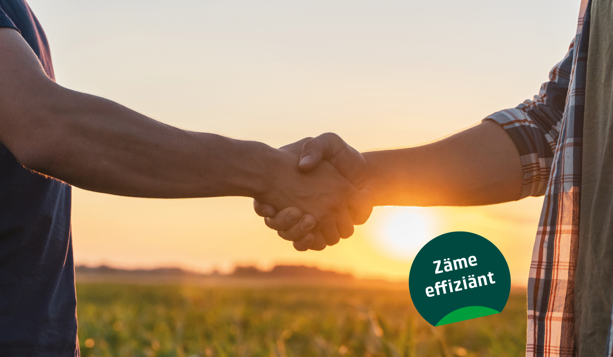 Zwei Personen schütteln sich die Hände vor einem Sonnenuntergang.