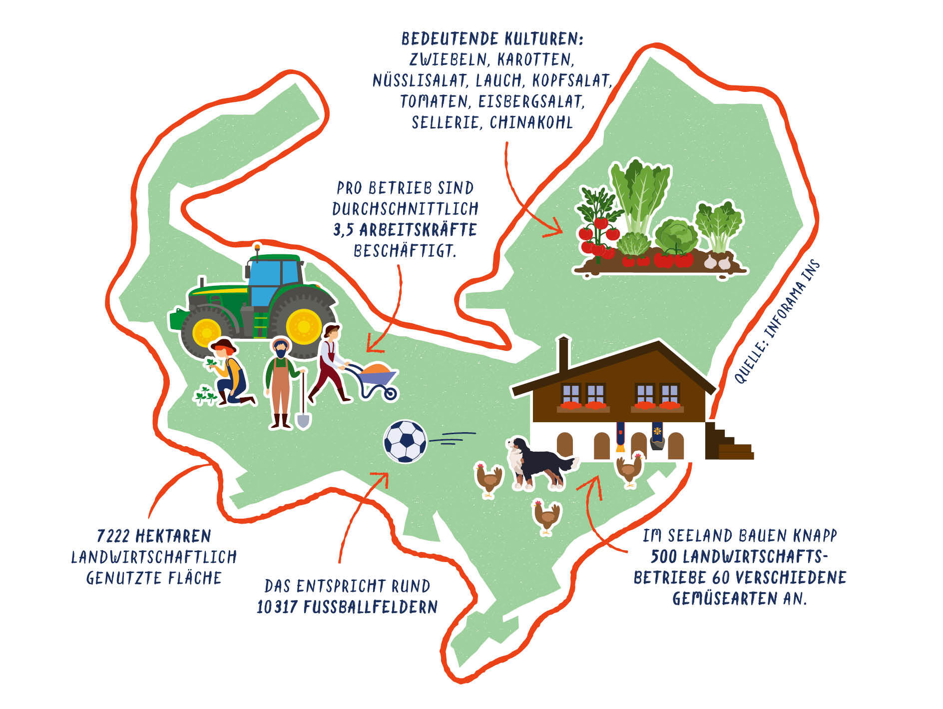 Illustration einer Karte mit Traktor, Gemüse, Bauernhaus, Nutztieren und Infotexten zur Landwirtschaftsfläche, Gemüseproduktion und Beschäftigung im Seeland.