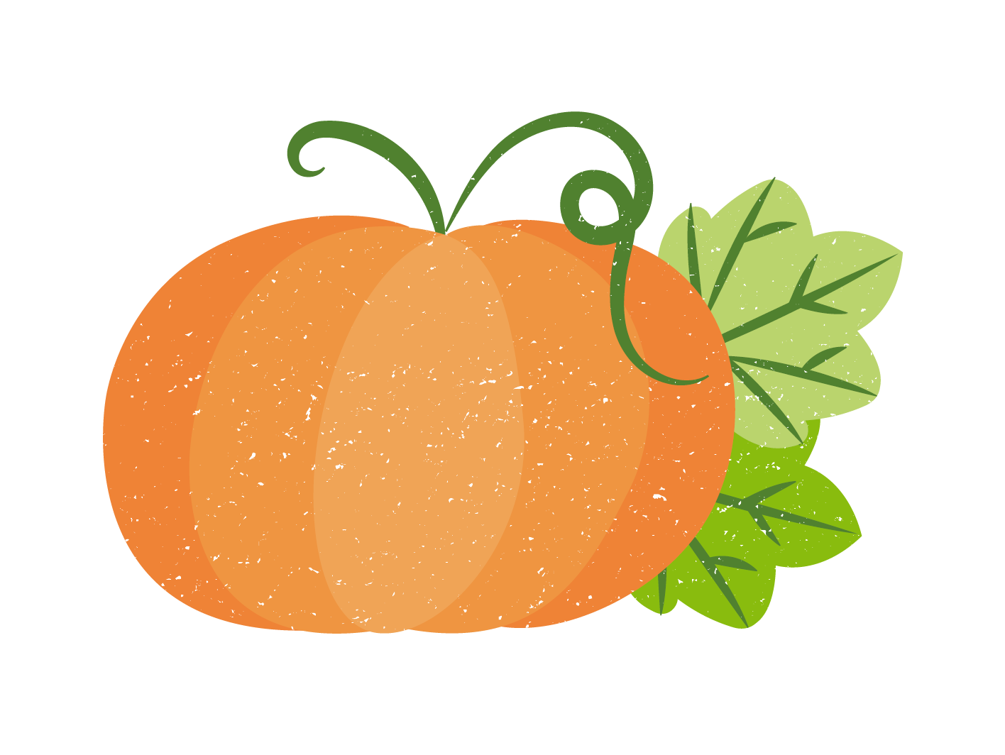 Illustration von einem Kürbis.