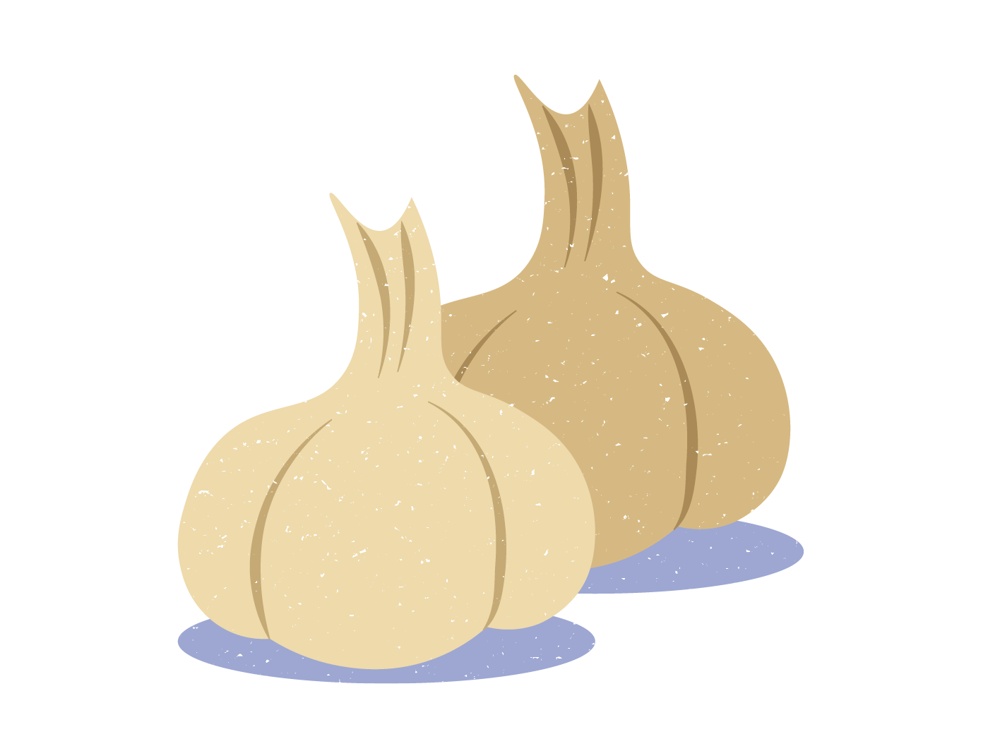 Illustration von zwei Knoblauchknollen.