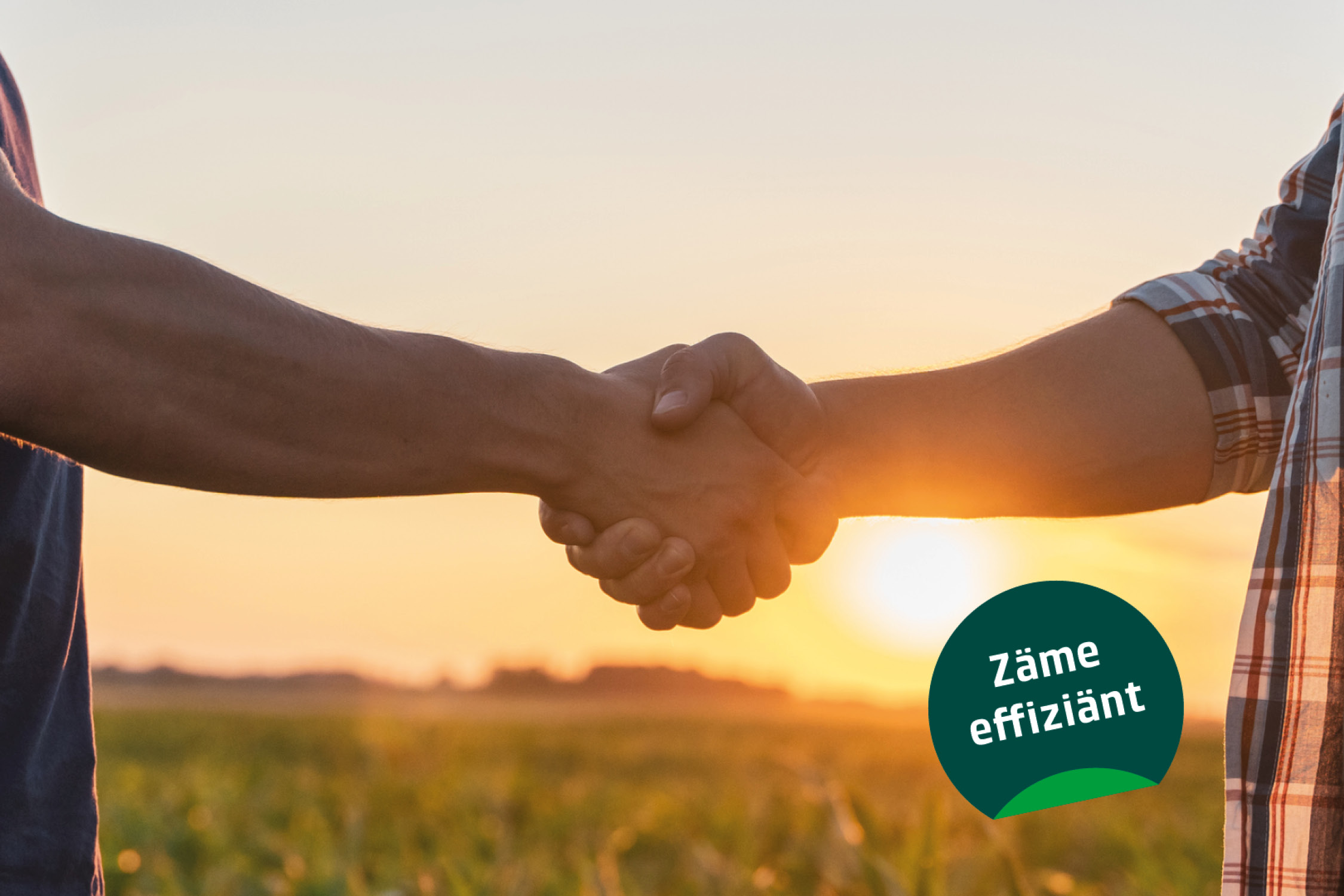 Händedruck zweier Personen im Sonnenuntergang mit dem Label «Zäme effizient».